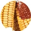 Wild Delight 20lb Corn on the Cob Wildlife Feed