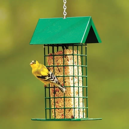 Wild Delight Bird Seed Block Feeder 2 Wild Delight Bird Seed Block Feeder - Image 2