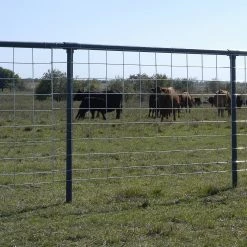 OK Brand 16'x50" Select Cattle Panel