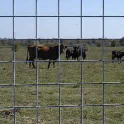 Iowa Steel Utility Panel 4 x 4, 6 GA – 5 ft x 16 ft -Outlet Farm & Pet Store 18880283 4