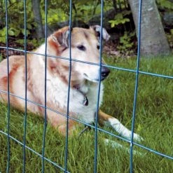 Origin Point 24x50 16-Gauge Green Vinyl Coated Garden Fence -Outlet Farm & Pet Store 19000076 2