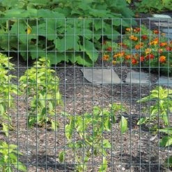 Origin Point 24x50 16-Gauge Green Vinyl Coated Garden Fence -Outlet Farm & Pet Store 19000076 3