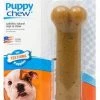 Nylabone Puppy Bone Regular