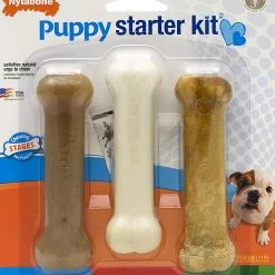 Nylabone Puppy Starter Kit