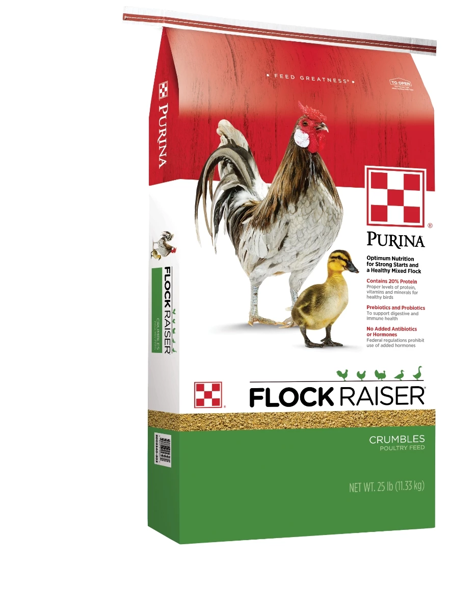 Purina Flock Raiser Crumbles Poultry Feed - 50 lbs