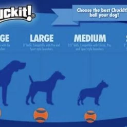 Chuckit! Ultra Medium Rubber Ball Tough Dog Toy, 2-Pack -Outlet Farm & Pet Store 21710012 3