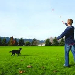 Chuckit! 12M Sport Launcher Dog Toy, Assorted -Outlet Farm & Pet Store 21710052 2