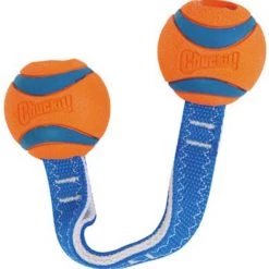Chuckit! Small Ultra Duo Tug Tough Dog Toy