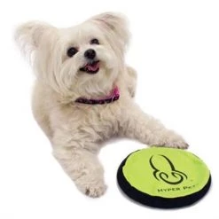 Hyper Pet Flippy Flopper 9"