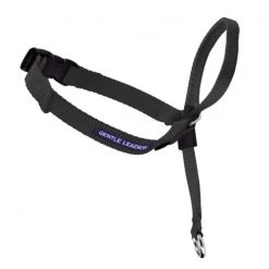 PetSafe Gentle Leader® Headcollar No-Pull Dog Collar, Black
