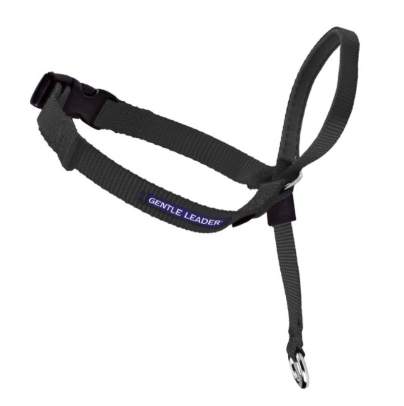 PetSafe Gentle Leader® Headcollar No-Pull Dog Collar, Black 1 PetSafe Gentle Leader® Headcollar No-Pull Dog Collar, Black