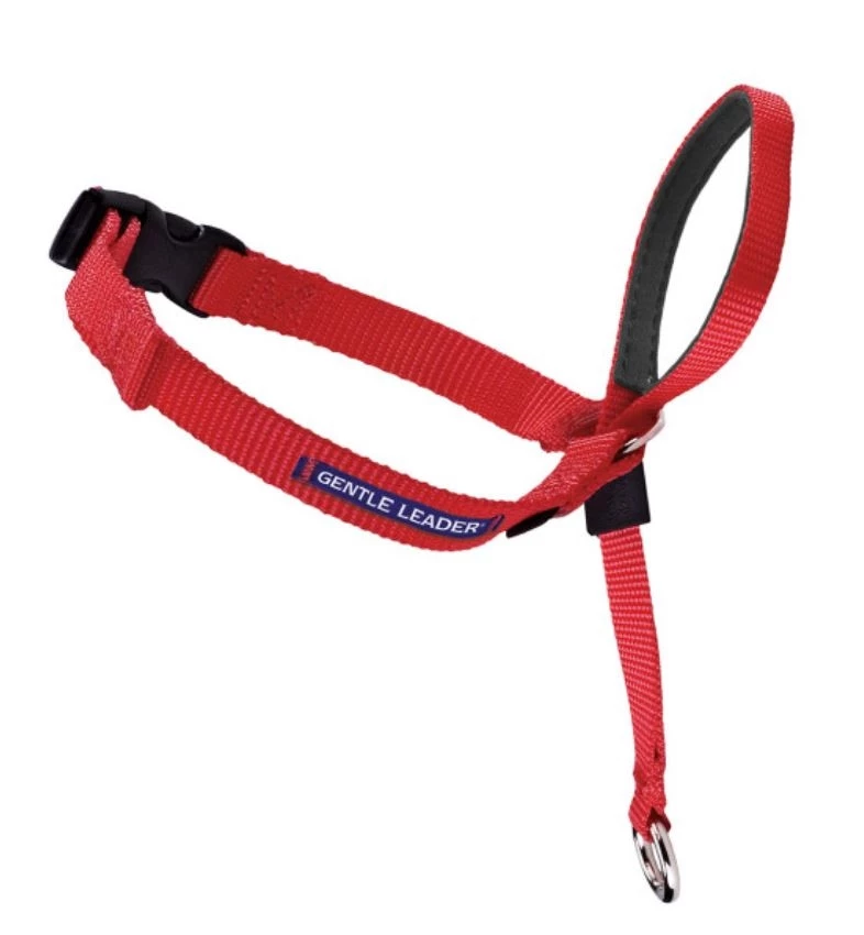 PetSafe Gentle Leader® Headcollar No-Pull Dog Collar, Red 1 PetSafe Gentle Leader® Headcollar No-Pull Dog Collar, Red