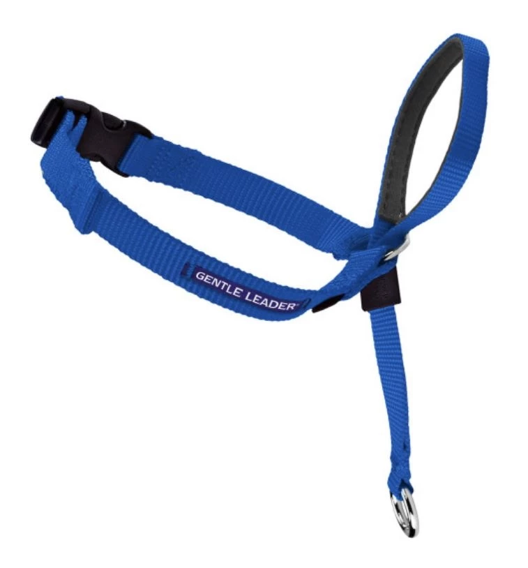 PetSafe Gentle Leader® Headcollar Medium No-Pull Dog Collar, Blue 1 PetSafe Gentle Leader® Headcollar Medium No-Pull Dog Collar, Blue
