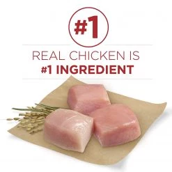 Purina ONE SmartBlend Natural Large Breed Formula Adult Dry Dog Food - 31.1 LBS -Outlet Farm & Pet Store 25310241 4