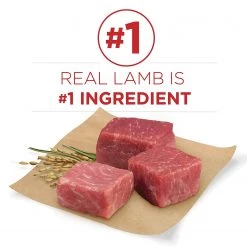 Purina ONE SmartBlend Natural Lamb Formula Adult Dry Dog Food - 31.1 LBS 10 Purina ONE SmartBlend Natural Lamb Formula Adult Dry Dog Food - 31.1 LBS -Outlet Farm & Pet Store 25310335 4