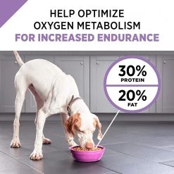 Purina ProPlan Sport All Life Stages Performance 30/20 Formula - 50 LBS 13 Purina ProPlan Sport All Life Stages Performance 30/20 Formula - 50 LBS -Outlet Farm & Pet Store 25310350 5