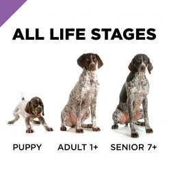 Purina ProPlan Sport All Life Stages Performance 30/20 Formula - 50 LBS 14 Purina ProPlan Sport All Life Stages Performance 30/20 Formula - 50 LBS -Outlet Farm & Pet Store 25310350 6