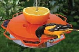 Woodlink Classic Oriole Feeder 2 Woodlink Classic Oriole Feeder - Image 2