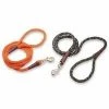 Mendota Products Snap Leash