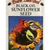 Prairie Lakes Seed Black Oil Sunflower Seed, 40lb.