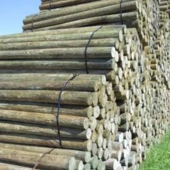 Land O Lakes NatureWood 8 Ft Treated Fence Posts-4 in
