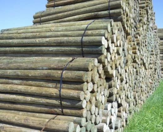 Land O Lakes NatureWood 8 Ft Treated Fence Posts-5 in 1 Land O Lakes NatureWood 8 Ft Treated Fence Posts-5 in