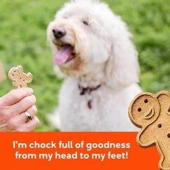 Buddy Biscuits Peanut Butter Grain Free Oven Baked Crunchy Dog Treats – 14 oz -Outlet Farm & Pet Store 331 094 15 5 1