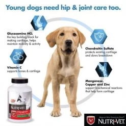 Nutri-Vet Hip and Joint Extra Strength Dog Chewables, 75 ct. -Outlet Farm & Pet Store 364005193