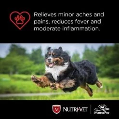 Nutri-Vet Dog Aspirin Chewables for Medium and Large Dogs, 75 ct. 10 Nutri-Vet Dog Aspirin Chewables for Medium and Large Dogs, 75 ct. -Outlet Farm & Pet Store 36400548 4