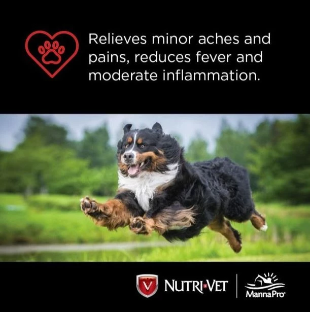 Nutri-Vet Dog Aspirin Chewables for Medium and Large Dogs, 75 ct. 5 Nutri-Vet Dog Aspirin Chewables for Medium and Large Dogs, 75 ct. - Image 5