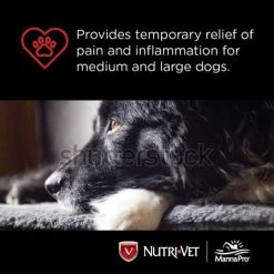 Nutri-Vet Dog Aspirin Chewables for Medium and Large Dogs, 75 ct. 11 Nutri-Vet Dog Aspirin Chewables for Medium and Large Dogs, 75 ct. -Outlet Farm & Pet Store 36400548 5