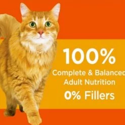 Iams ProActive Health Healthy Adult Original with Chicken Dry Cat Food, 3.5lb. -Outlet Farm & Pet Store 36400898 3