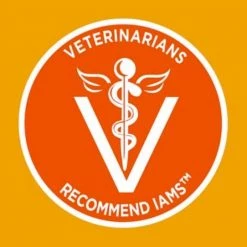 Iams ProActive Health Healthy Adult Original with Chicken Dry Cat Food, 3.5lb. -Outlet Farm & Pet Store 36400898 5