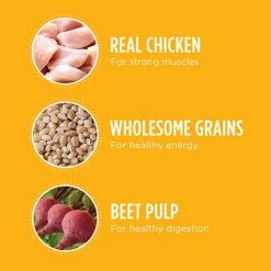 IAMS Proactive Health Smart Puppy Food - 15 LBS -Outlet Farm & Pet Store 36400992 3