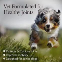 Nutri-Vet Hip & Joint Advanced Strength Dog Chewables, 90 ct. -Outlet Farm & Pet Store 36401467 2
