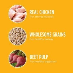 Iams Proactive Health Smart Puppy Large Breed – 30.6 Lbs -Outlet Farm & Pet Store 36401524 3