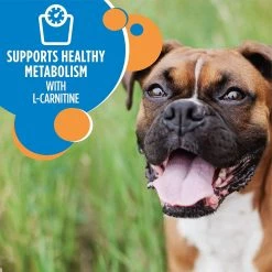 Iams Proactive Health Chicken Adult Dry Dog Food for Healthy Weight – 29.1 lbs -Outlet Farm & Pet Store 36401537 5