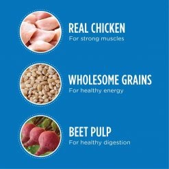 Iams Proactive Health Chicken Adult Dry Dog Food for Healthy Weight – 29.1 lbs -Outlet Farm & Pet Store 36401537 6