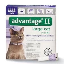 Advantage II For Large Cat