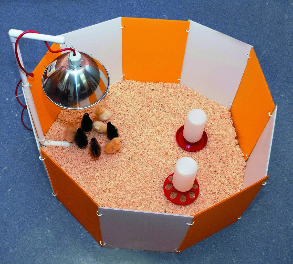 Farm Innovators Baby Chick Starter Home Kit 2 Farm Innovators Baby Chick Starter Home Kit - Image 2