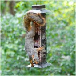 Perky-Pet Squirrel-Be-Gone Wild Bird Feeder