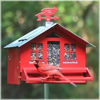 Perky Pet Squirrel-Be-Gone II Country Style Wild Bird Feeder