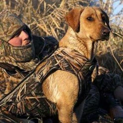 Avery Standard Dog Parka, Max 5 -Outlet Farm & Pet Store 42410235 1 1