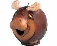 Songbird Essentials Moose Gord-O-Birdhouse