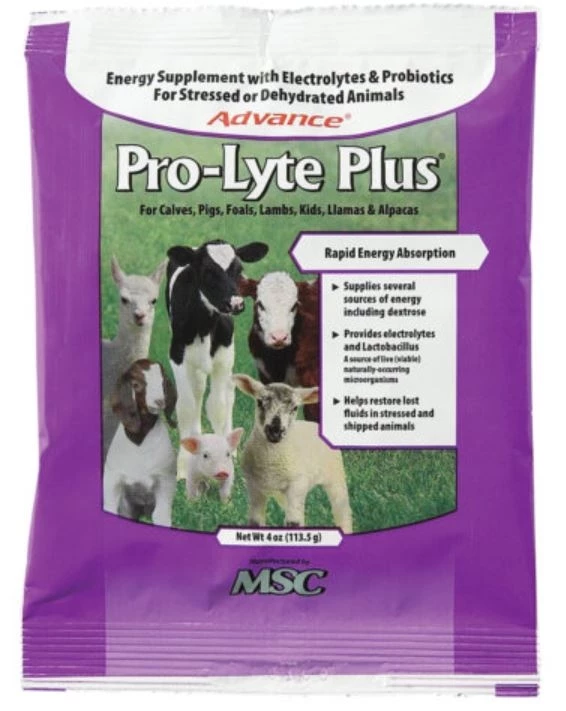 Advance Pro-Lyte Plus, 4 oz. 1 Advance Pro-Lyte Plus, 4 oz.