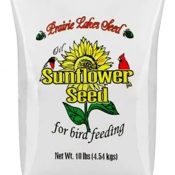 Prairie Lakes Seed Black Oil Sunflower Wild Bird Food, 10lb.