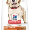 Science Diet Large Breed Puppy Lamb & Rice 33 lb. bag