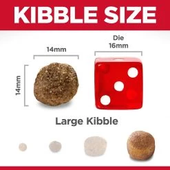 Science Diet Large Breed Lamb & Rice, 33 lb. bag 14 Science Diet Large Breed Lamb & Rice, 33 lb. bag -Outlet Farm & Pet Store 71fbxrba yl. ac sl1500