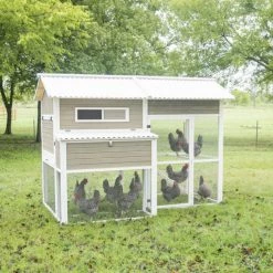 PrecisionPet Products XL Large Chicken Coop -Outlet Farm & Pet Store 8010340 1
