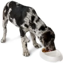 Petmate Ultra Lightweight Large Double Diner Pet Bowl, Assorted -Outlet Farm & Pet Store 8011716 3 1